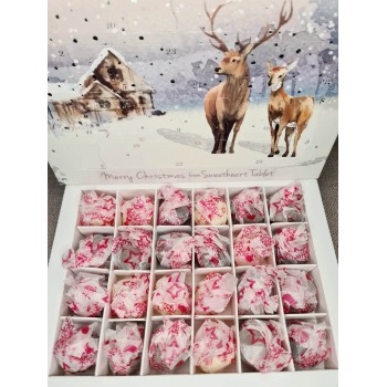 Christmas pre-order 24...